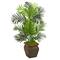 3ft. Paradise Palm Tree with Decorative Planter